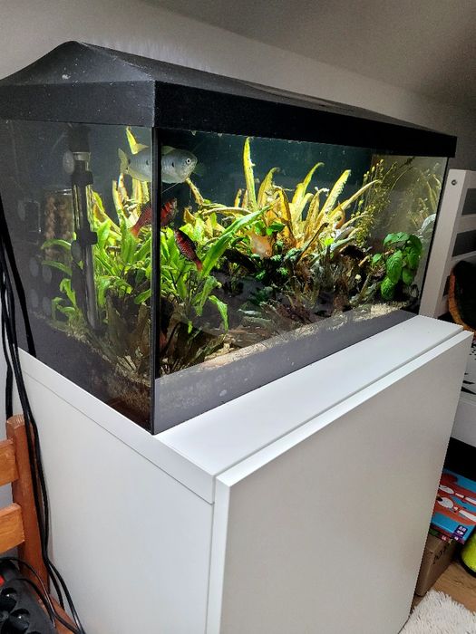 Akwarium 54l kompletne