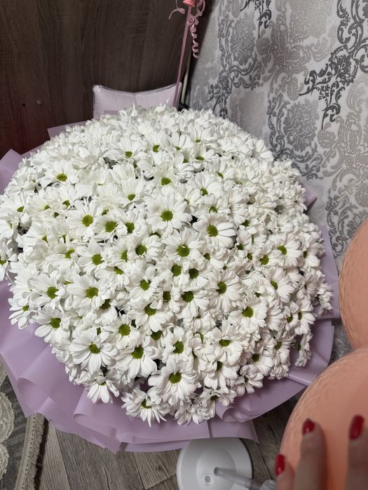 Продам большой букет белых хрызонтемы  - ромашек