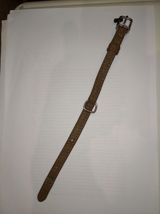 Ошийник  для песика, котика. 27 см.