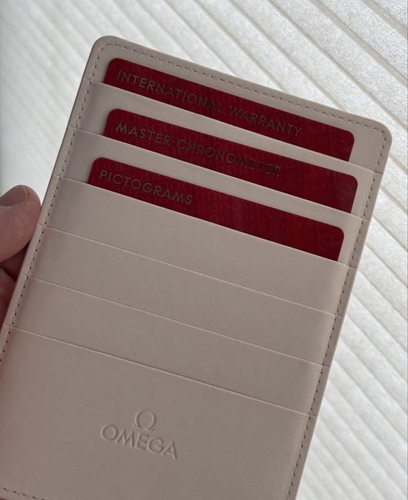 Omega Seamaster Aqua Terra