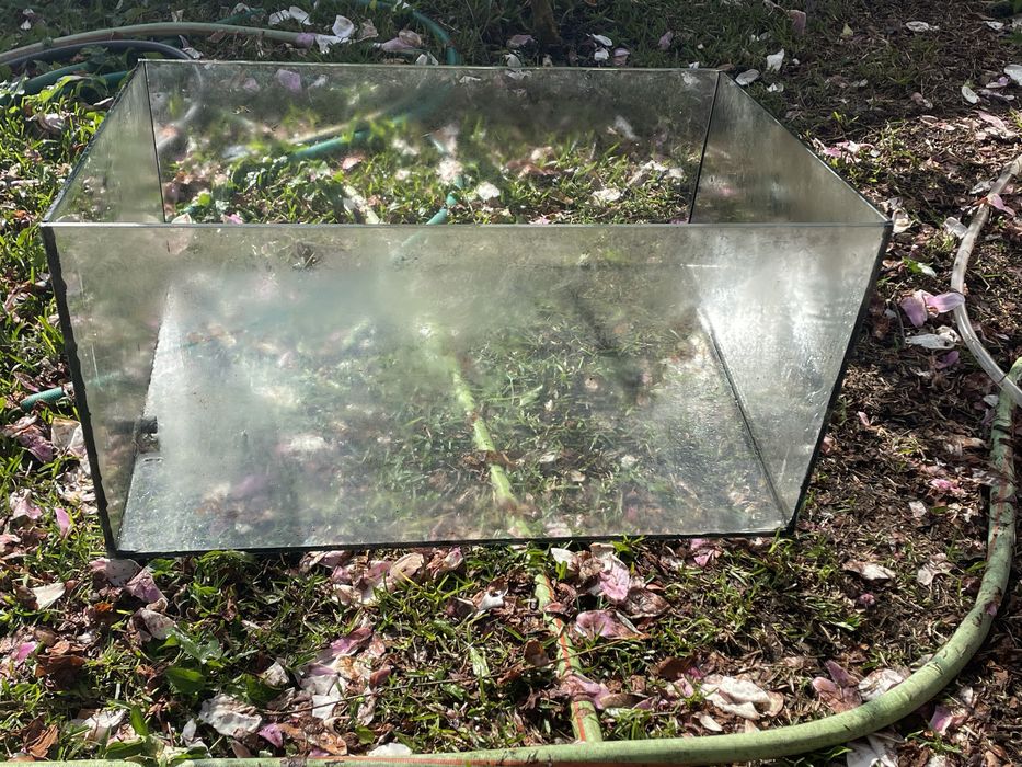 Tanque aquario de tartarugas ~230L