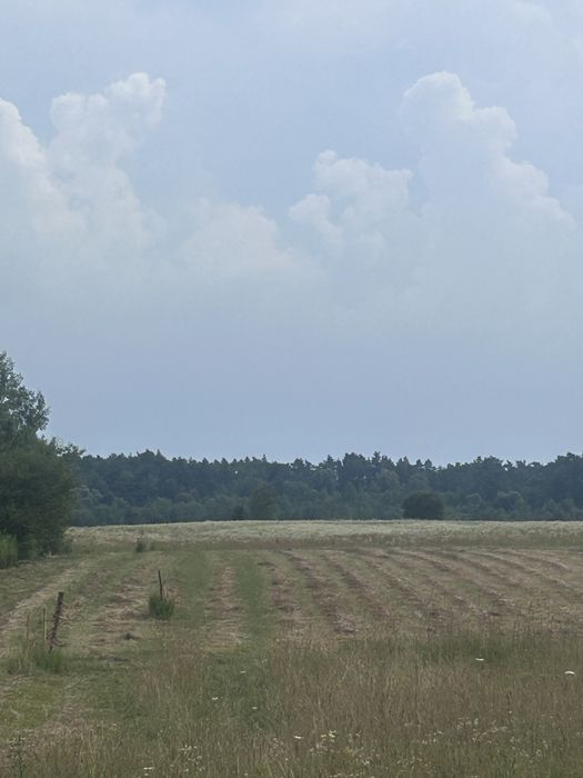 Продаж ділянки 163,5 га с.Бартатів