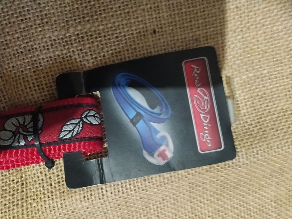 Trelas RedDingo.64585347277826121