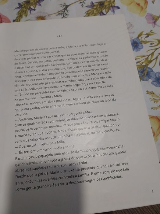 A aranha delicada. Portes incluídos.