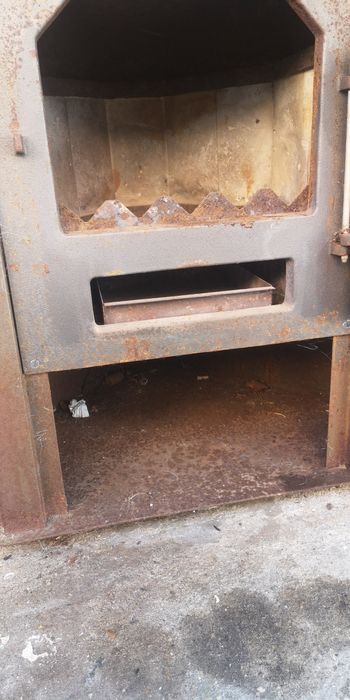 Salamandra Para venda