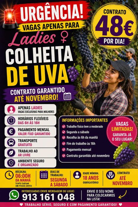 colheta de frutas