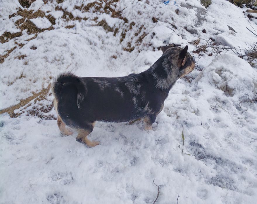 Мальчик метис подросток