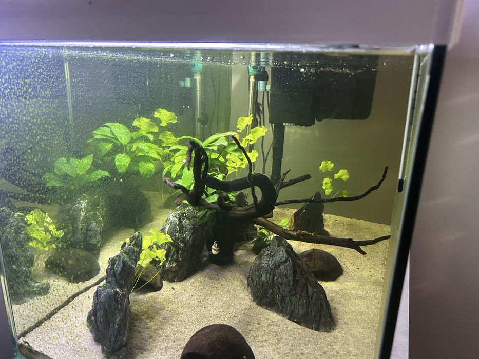 Aquario aprox. 200lt