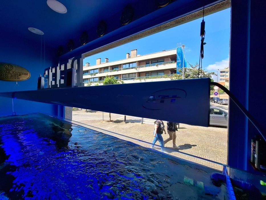 Calha iluminação para aquário de agua salgada ou doce ATI 6x54W