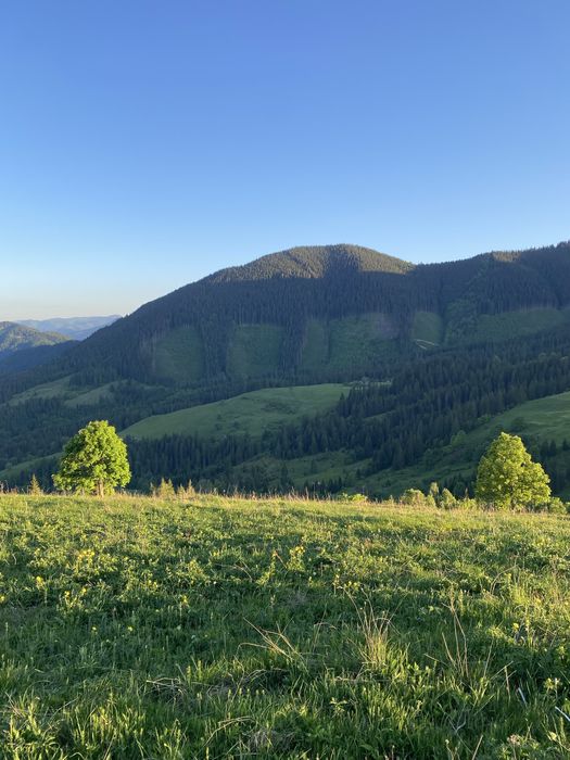 Земельна ділянка