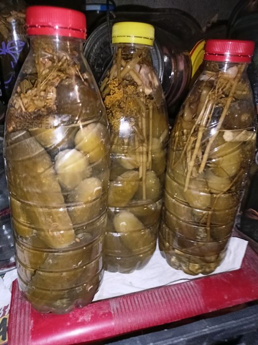 Sprzedam ogórki kiszone