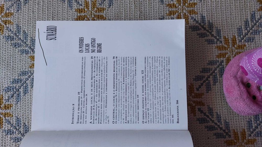 História dos Munícipios e o Poder Local64584627468545124