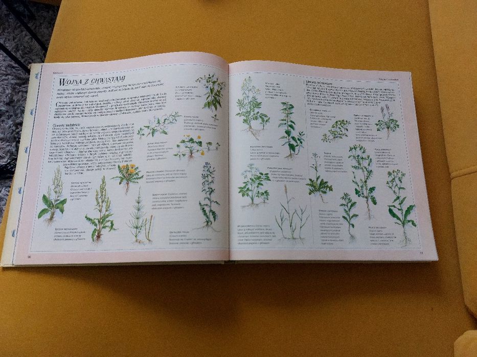 Książka: "1001 sposobów na piękny ogród" – Reader's Digest. Poradnik