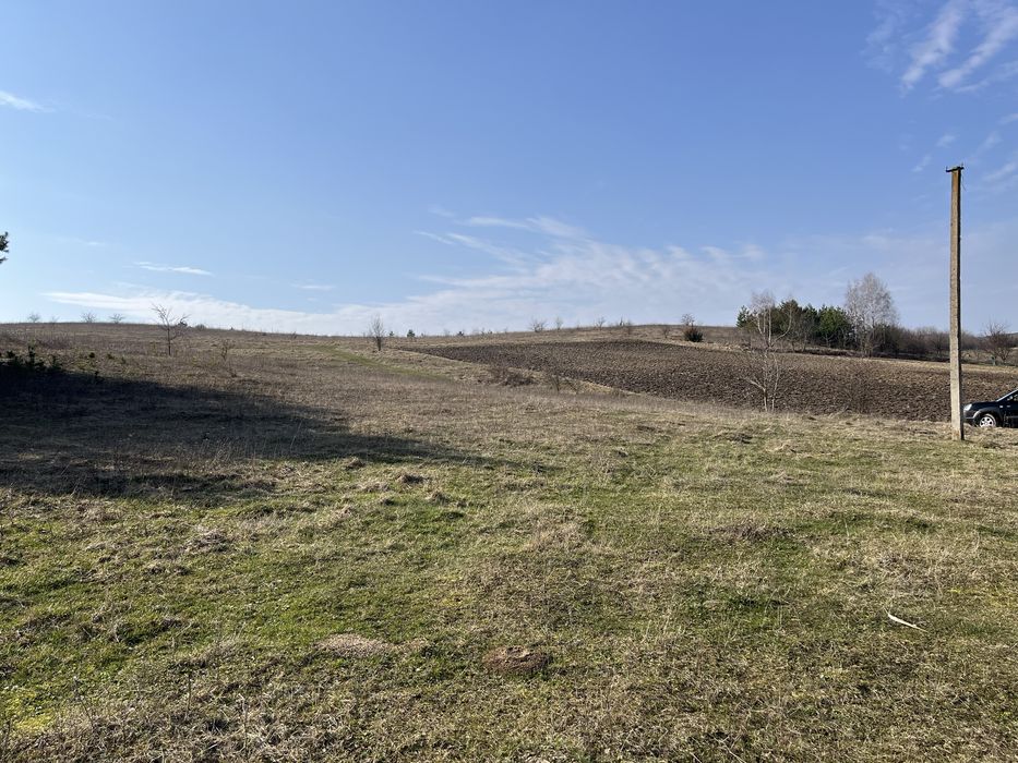 ‼️Рясники ділянка‼️