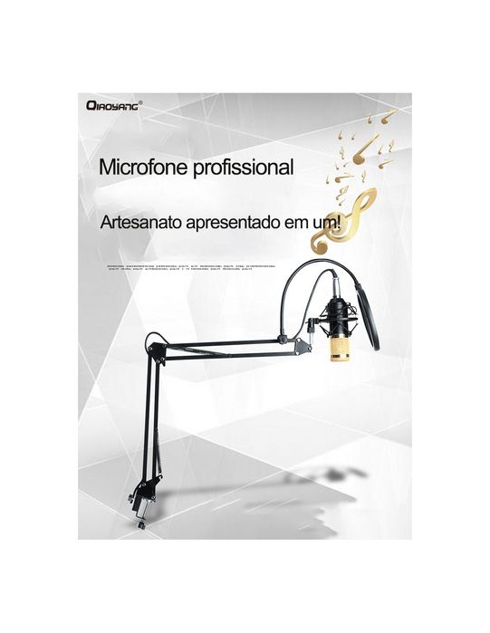 Microfone Condensador Profissional QA-T556