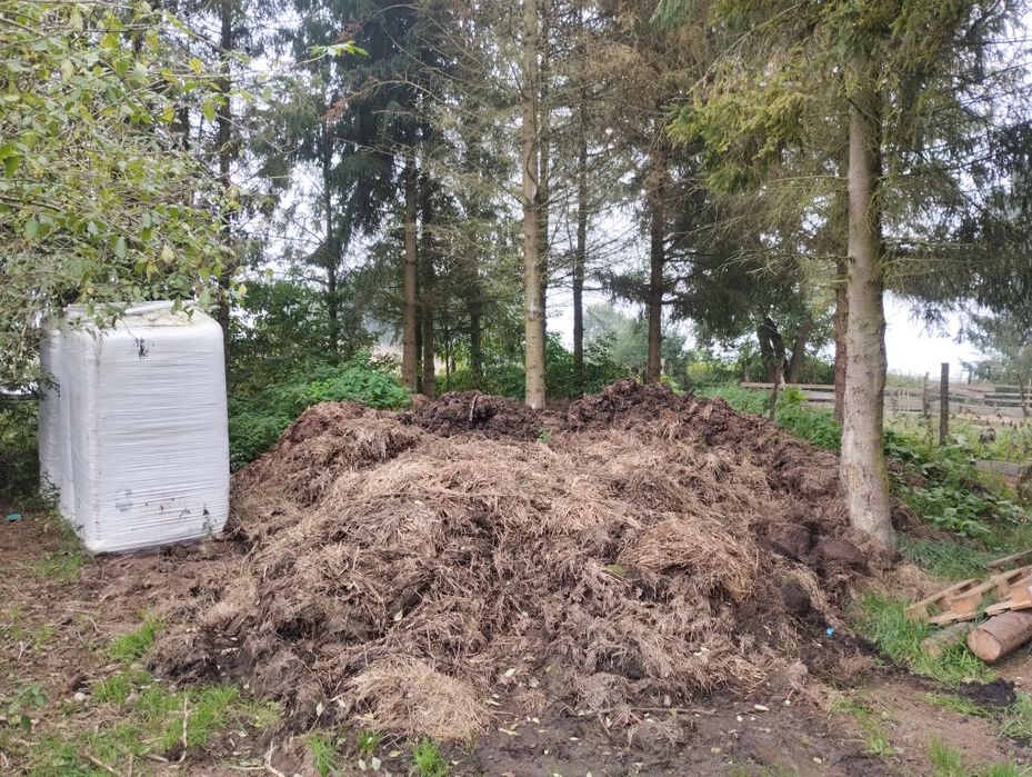 Obornik bydlęcy ekologiczny