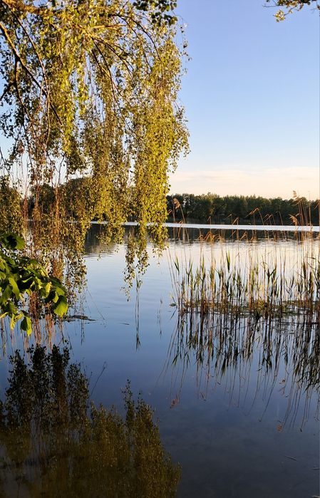 Działka rekreacyjna nad jeziorem Wolskim