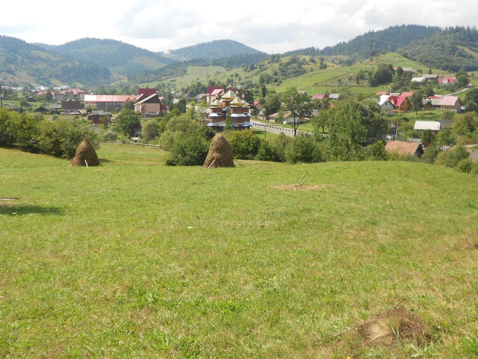 Житловий будинок та земельна ділянка 55,3 сот. с.Козьова