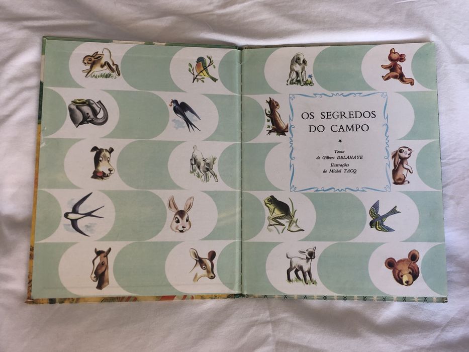 Os segredos do Campo (nº 47)  Anita