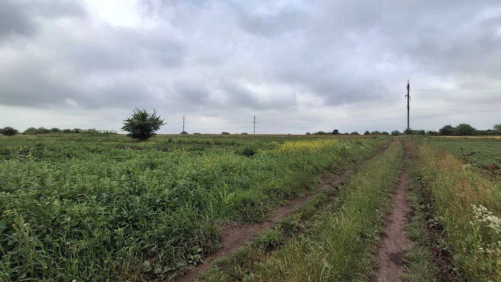 Продаж земельної ділянки 25 соток, Підлужжя, світло, бізнес
