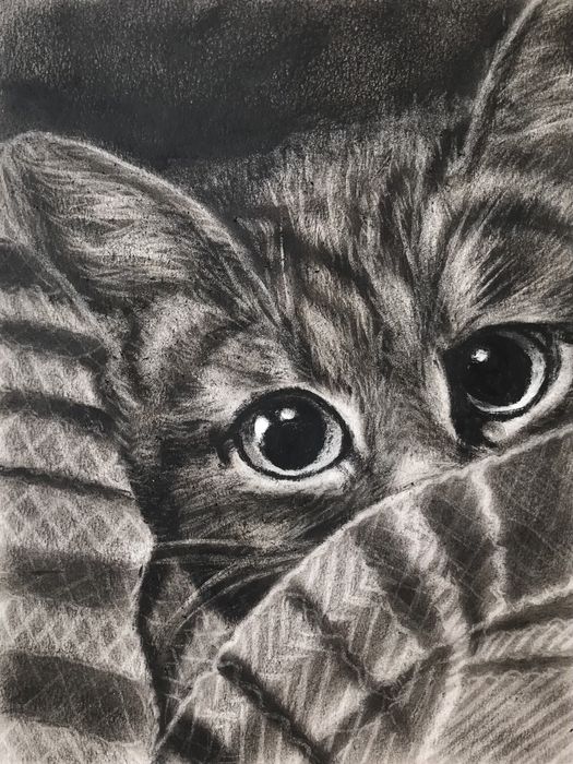 Картины в технике сухая кисть