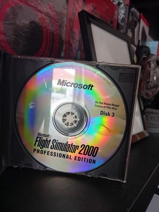 Flight simulator 2000 professional edition