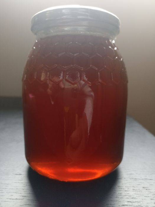 Venda de Mel Multifloral