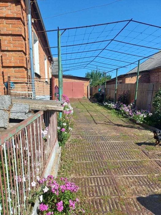 Продам будинок в Богодухові