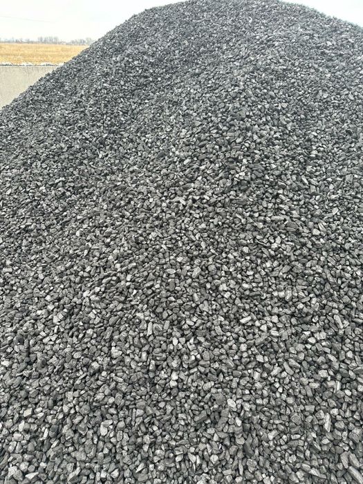 Groszek Krolewski 27 Mj/kg