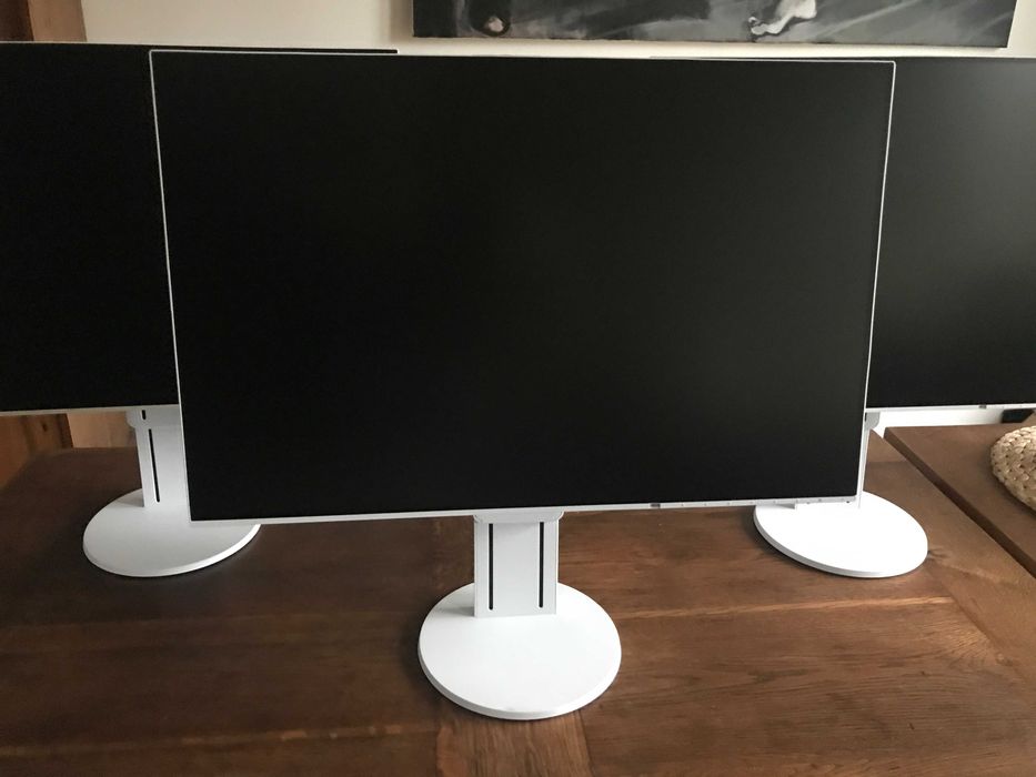 Monitor LCD Eizo EV2456 24,1 " 1920x1200 IPS Białe i czarne FV23% Wys