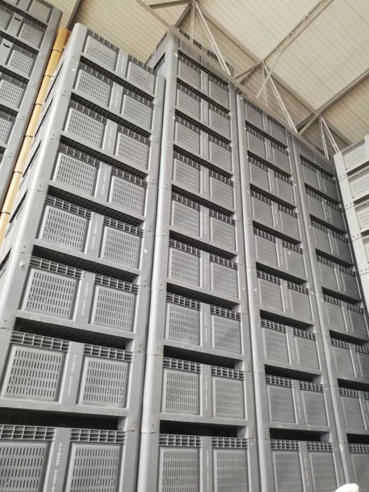 Palotes em muito bom estado