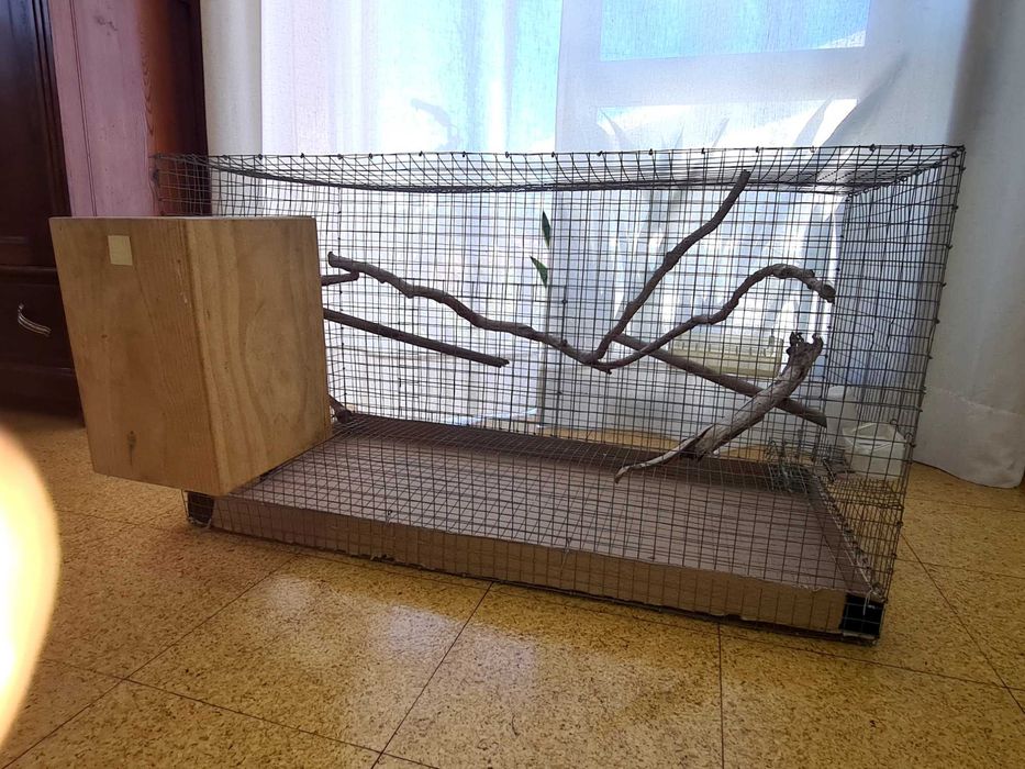 Gaiola Média/Grande para Aves + Acessórios e Ninho Incluídos