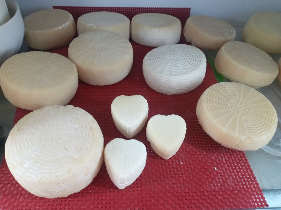 Пропоную кіз, козликів та козенят,  зааненської породи.