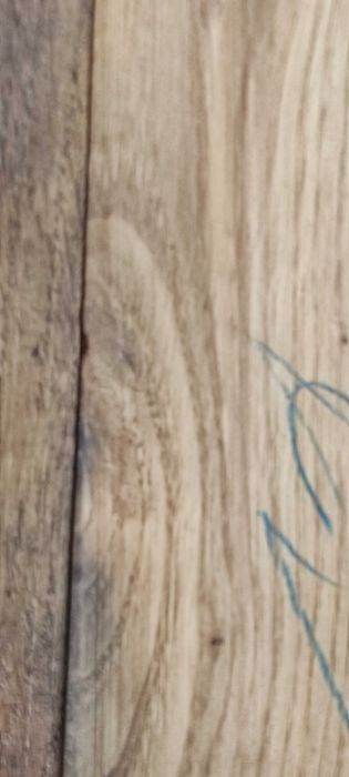 Tampo Barrica vinho Porto