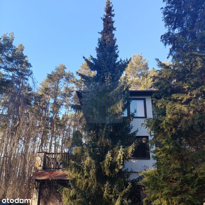 Dom z dużą działką  i szybkim dostępem do Warszawy