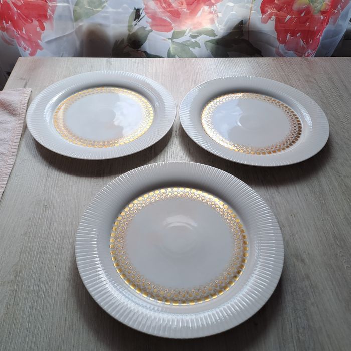 Talerze obiadowe  Rosenthal.