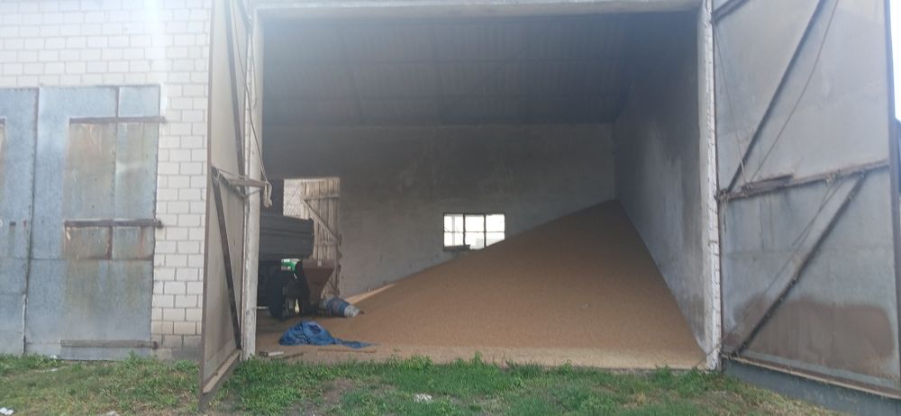 Wynajmę duży garaż 70m2