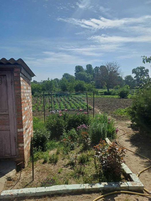 Терміново продам будинок в Богодухові