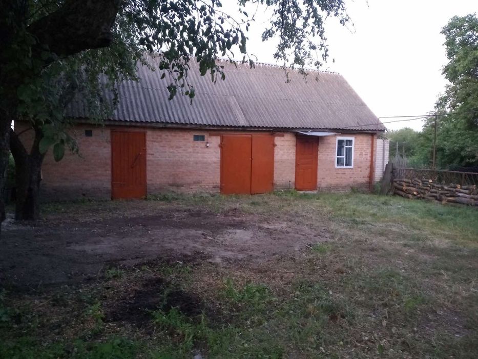 Будинок в центрі села Гаркушинці