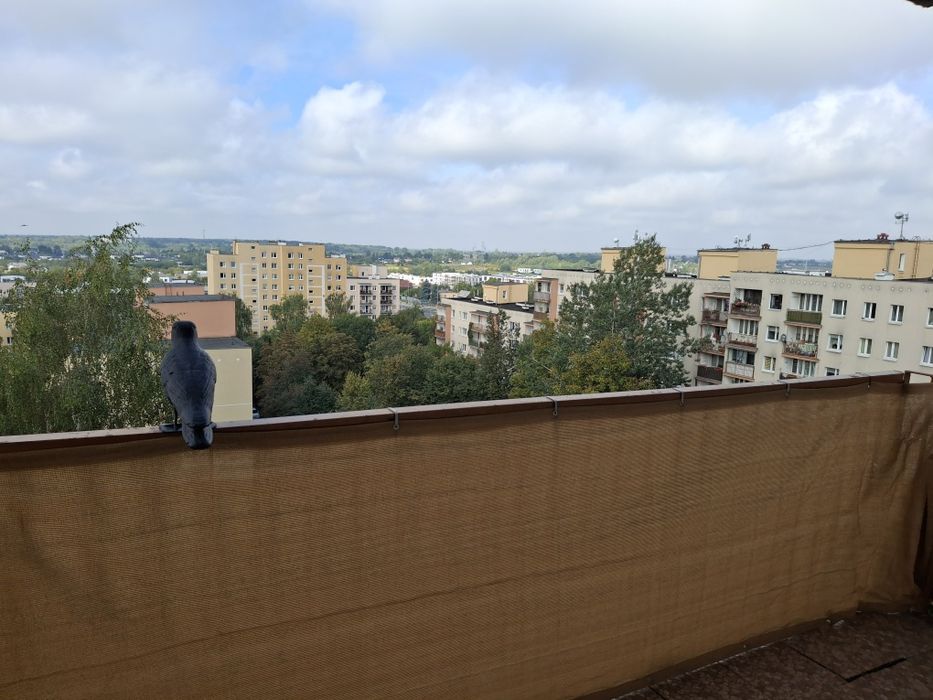 Zdjęcie 2