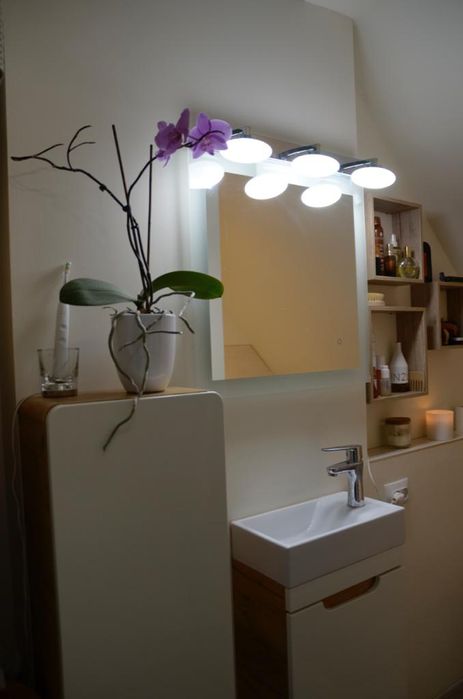 Lampa LED WiFi ORBIS WALL ELYPSE 18W, inteligentna, łazienkowa