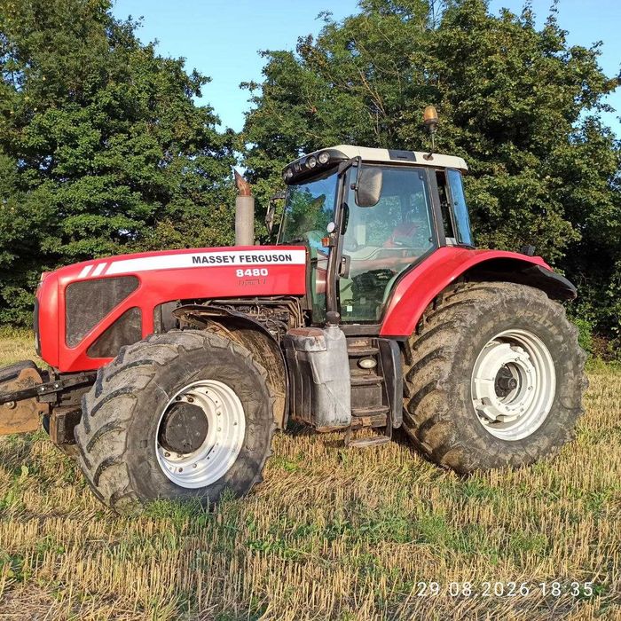 Трактор Massey Ferguson 8480