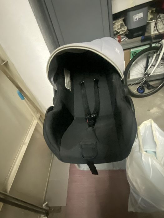 Ovo de bebe da zoppy