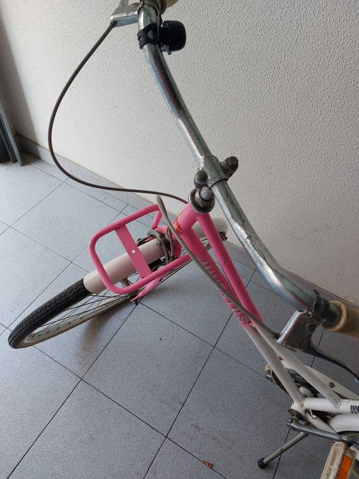 Bicicleta tipo Pasteleira