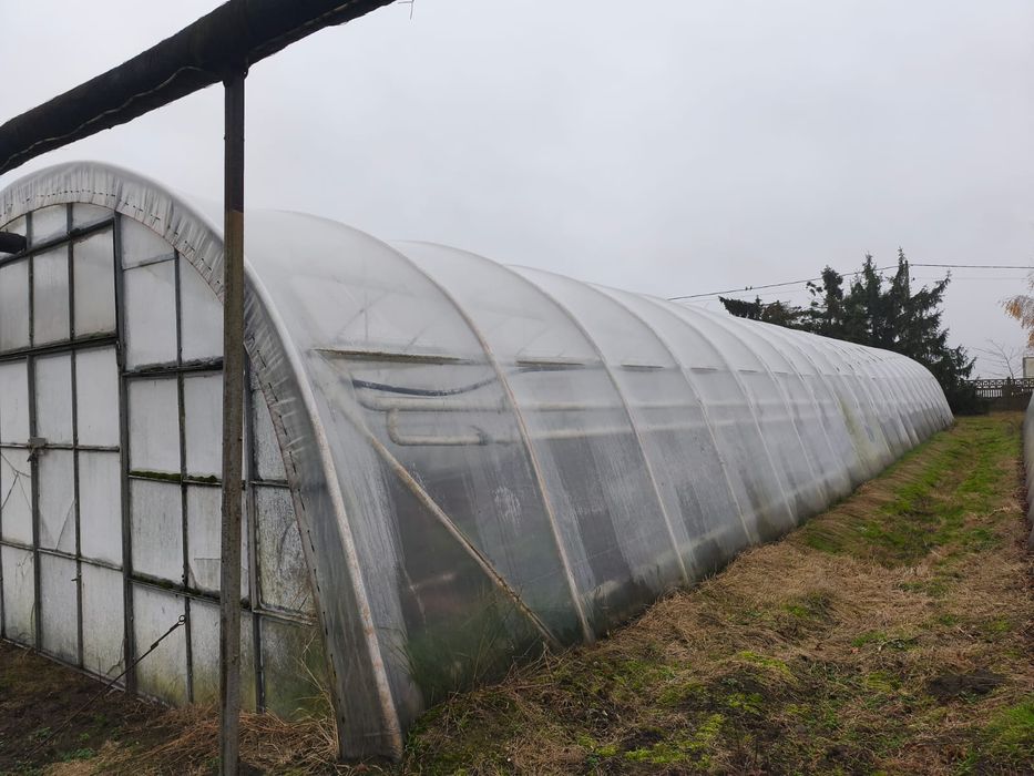 Sprzedam tunele foliowe