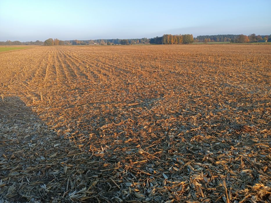 Ziemia rolna 4.08 hektary, działka rolna