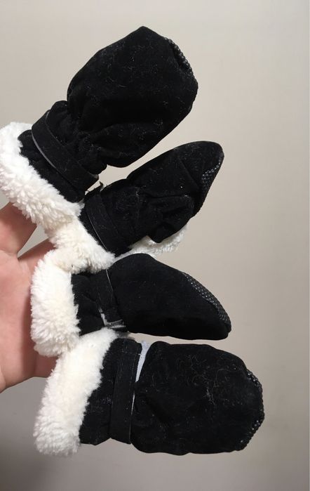 Обувь для собачки.