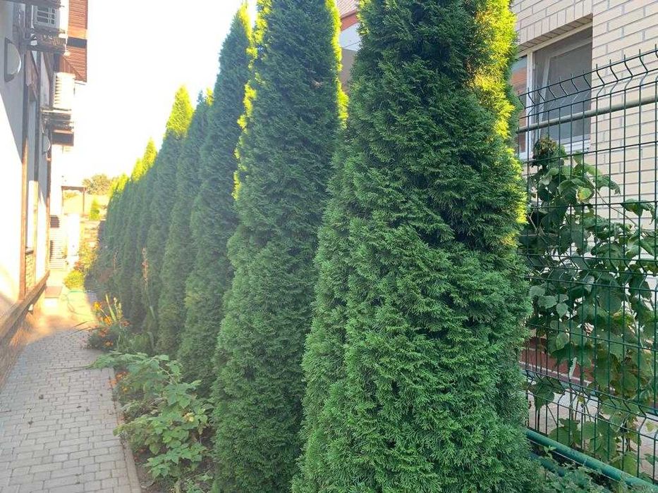 Дом по адресу ул. Шкиперская (площадь 145,8 м²) - Atlanta.ua - фото 7