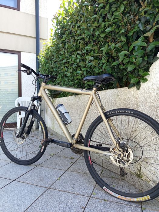 Bicicleta  Coelho Homem