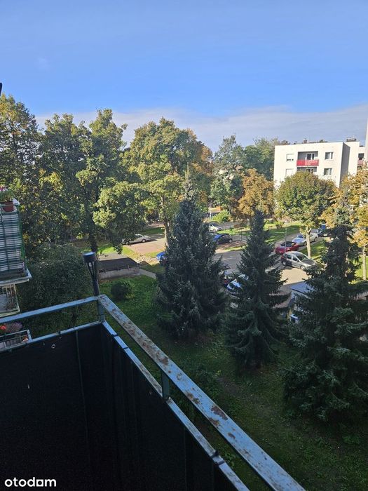 REZERWACJA Mieszkanie 2 pokojowe po remoncie na Sołaczu.